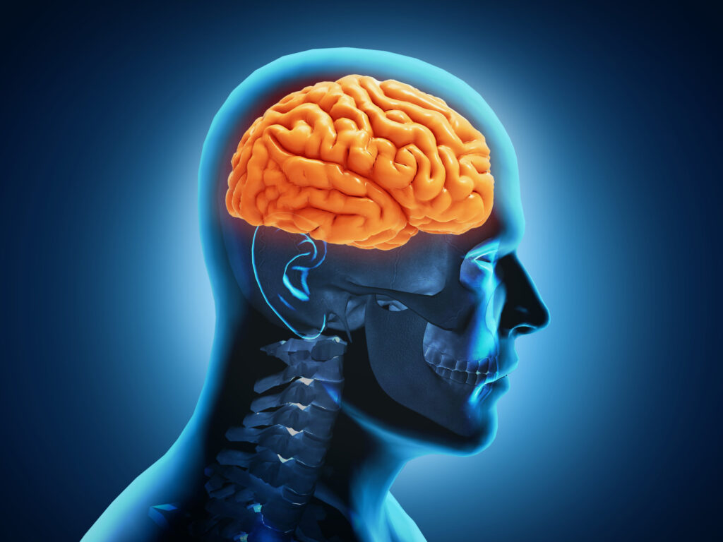 Quad Cities Brain Injury Lawyer