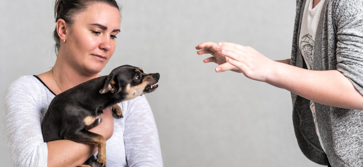 child dog bite injuries